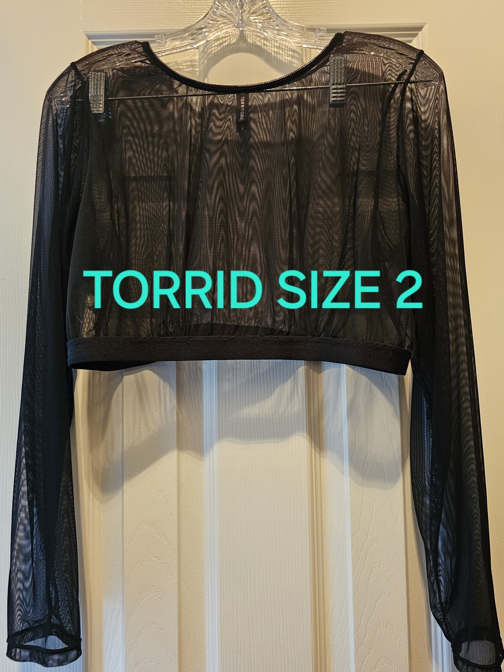 torrid Black Sheer Mesh Long-Sleeve Crop Top